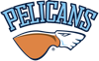 Pelicans